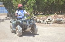 Sharm El Sheikh: ATV, Camel Ride with BBQ Dinner and Show
