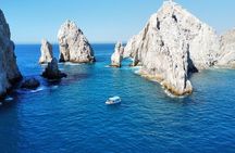 Sunrise Whale Watching boat tour with marine biologist