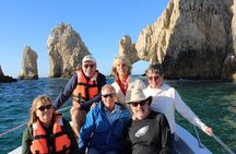 Sunrise Whale Watching boat tour with marine biologist