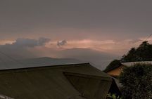 Darjeeling Forests on Foot