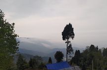 Darjeeling Forests on Foot