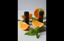 Authentic sensory experience in Amalfi: Lemon, Honey, Food & Wine