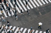 Tokyo Made Easy | Private Chauffeur Day Adventure | Car and Guide
