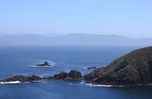 Bruny Island Small-Group Guided Tour From Hobart