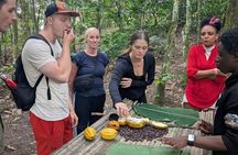 Boti Falls, Umbrella Rock, Aburi Gardens & Cocoa Farm Day Tour