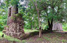 Roots Slave Trade Tour Kunta Kinteh Compound and Museum Visit