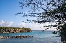 Private Photography & Island Tour of Curaçao
