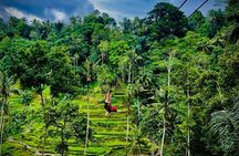 Bali Ubud Zipline River Rafting and Rice terrace Tour with Lunch