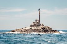 Marine Safari in La Ventana