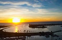 San Diego Dolphin Watch Sunset Cruise from Mission Bay