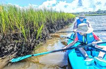 Amelia Salt Marsh Paddle in Talbot Islands State Park