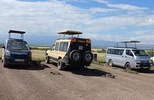 Two Days Guided Amboseli Tour
