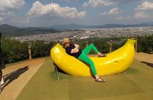 Kyoto: Arashiyama Tenryuji Temple, Bamboo Grove, and Monkeys Tour