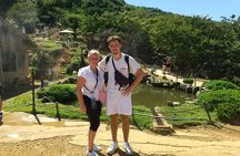 Kyoto: Arashiyama Tenryuji Temple, Bamboo Grove, and Monkeys Tour