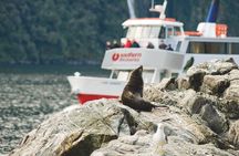 Milford Sound Coach & Extended Cruise from Queenstown