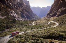 Milford Sound Coach & Extended Cruise from Queenstown
