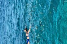 Roatan Beach Break Tours (no vendors) 5 hours 