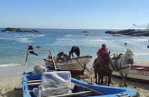 Full-Day Coastal Escape: Beaches, Penguins & Seaside Towns