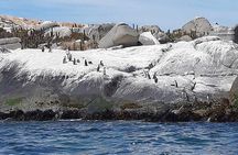 Full-Day Coastal Escape: Beaches, Penguins & Seaside Towns