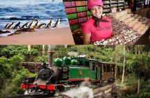 Melbourne Puffing Billy Penguin Yarra Valley Wine choc Tour