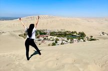 Full Day Tour to Paracas and Ica from Lima 