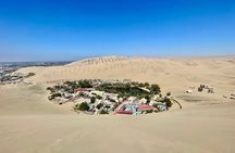 Full Day Tour to Paracas and Ica from Lima 