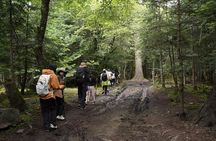 4 Day Yubeng Village Hiking Tour from Shangri La