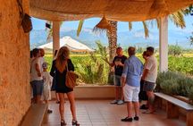 Mallorca Wine Tour Taste Local Wines in Santa Maria