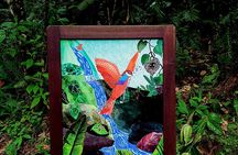 Tour to discover the lush North and waterfalls