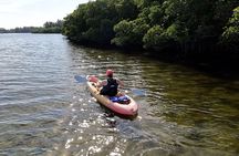Round Island Kayak & Paddle Board Tour