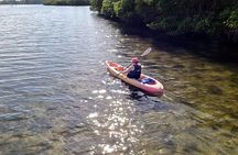 Round Island Kayak & Paddle Board Tour
