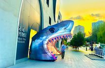 Best Beijing Night Walking Tour & Street Food Tasting