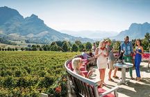 Stellenbosch Wine Tour half day from Cape Town