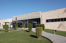  Private Thermopylae and Delphi Tour