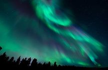 Private Northern Lights Guaranteed Tour With Photography 