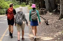 Nature Walk
