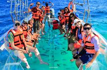 Cabo's Original Clear Boat Tour to the Arch