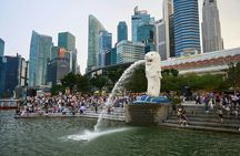 Singapore River Cruise, Night Garden Rhapsody & Spectra by CYT