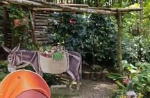 Puerto Plata City Tour with Lunch, Mountain and Factory Visits