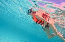 Playa del Carmen Tour Akumal Swimming With Turtles And Lagoon Yal Ku