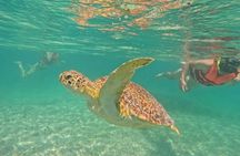 Playa del Carmen Tour Akumal Swimming With Turtles And Lagoon Yal Ku