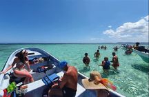 Island Snorkeling and Scenic Adventure in Dominican Republic