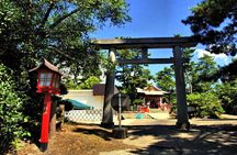 Kagoshima Cherry Blossom, Volcano & Wagyu Lunch Cruise Excursion
