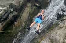 VIP Small Group El Yunque Rainforest Adventure
