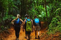 VIP Small Group El Yunque Rainforest Adventure