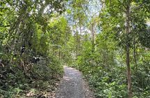 Tour of the 4 beaches and waterfalls in Itacaré