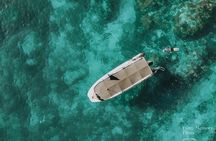 Coromandel Adventure and Wildlife Boat Tour to Aldermen Islands 