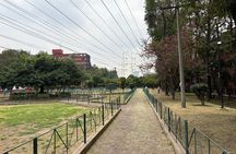 Immersive Cultural Tlatelolco Tour