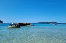 Cathedral Cove 2 Hour Guided Tour Explore Marine Wonders