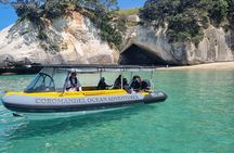 Cathedral Cove 2 Hour Guided Tour Explore Marine Wonders